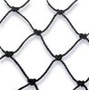 Bird Net
