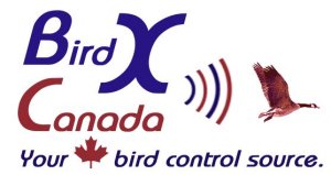 Call BirdxCanada.com at 1 (866) 335-3746