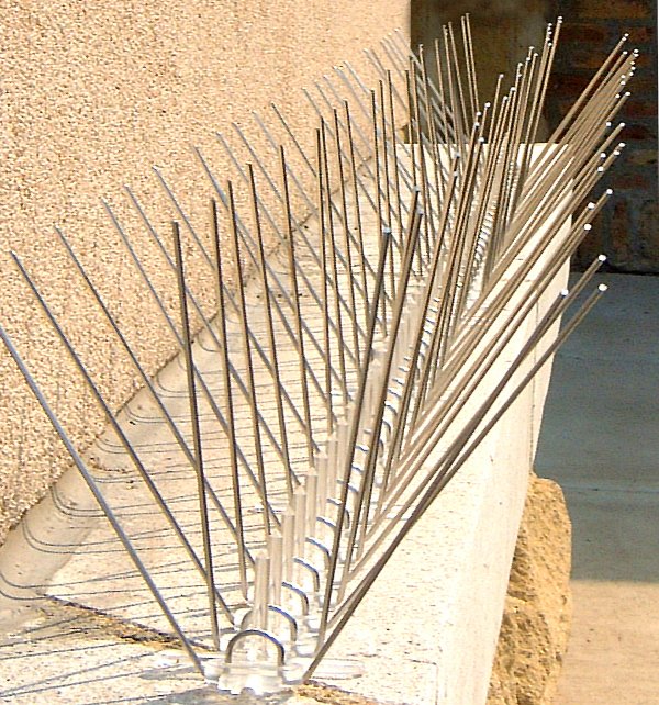 Bird Spikes Steel Roost Inhibitor
