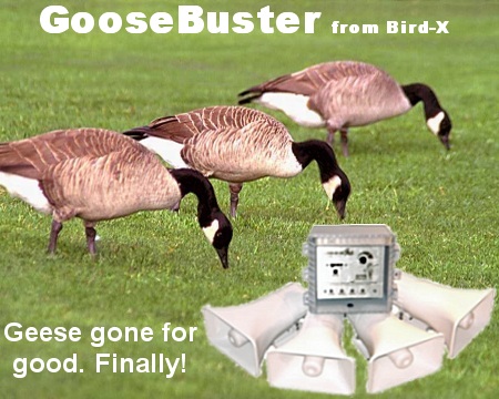 Ultrason X Ultrasonic Bird Repeller